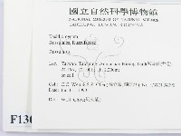 紅菇屬藏品圖，第2張
