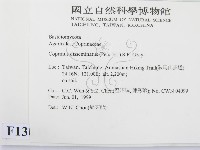 登錄號:F0013033藏品圖，第2張