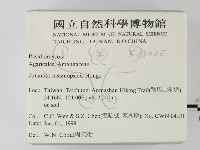登錄號:F0013035藏品圖，第2張