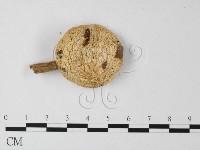 登錄號:F0013035藏品圖，第3張