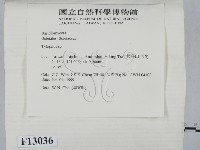 登錄號:F0013036藏品圖，第2張