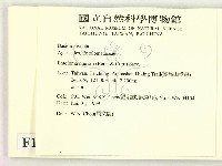 登錄號:F0013038藏品圖，第2張
