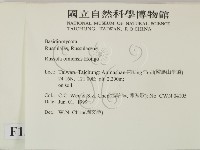 登錄號:F0013039藏品圖，第2張