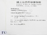 登錄號:F0013040藏品圖，第2張
