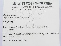 登錄號:F0013041藏品圖，第2張