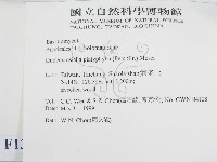 登錄號:F0013042藏品圖，第2張