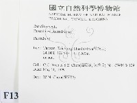 紅菇屬藏品圖，第2張