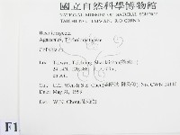 登錄號:F0013044藏品圖，第2張