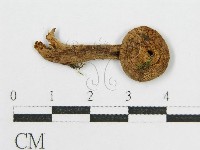 登錄號:F0013044藏品圖，第3張