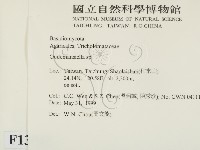 登錄號:F0013045藏品圖，第2張