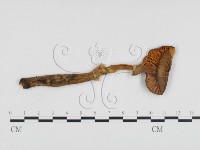 登錄號:F0013048藏品圖，第1張