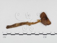 登錄號:F0013048藏品圖，第3張