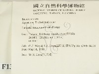 登錄號:F0013052藏品圖，第2張