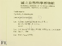 登錄號:F0013053藏品圖，第2張