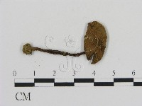 登錄號:F0013053藏品圖，第3張