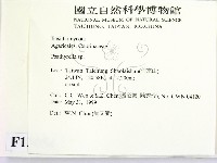 登錄號:F0013054藏品圖，第2張