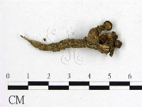 登錄號:F0013054藏品圖，第1張