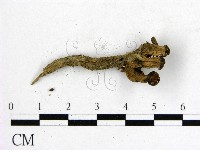 登錄號:F0013054藏品圖，第3張