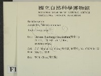 登錄號:F0013056藏品圖，第2張