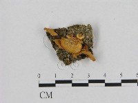 登錄號:F0013058藏品圖，第1張