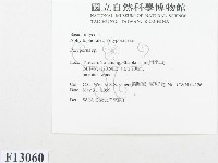 多孔菌屬藏品圖，第2張