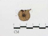 登錄號:F0013061藏品圖，第3張