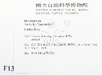 登錄號:F0013062藏品圖，第2張