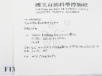 登錄號:F0013063藏品圖，第2張