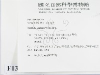 登錄號:F0013065藏品圖，第2張