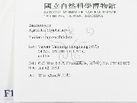 登錄號:F0013066藏品圖，第2張