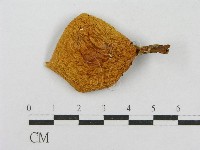 登錄號:F0013066藏品圖，第1張