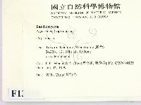 鬼傘屬藏品圖，第2張