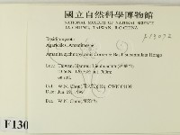 登錄號:F0013072藏品圖，第2張