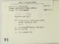 登錄號:F0013075藏品圖，第2張