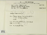 登錄號:F0013076藏品圖，第2張
