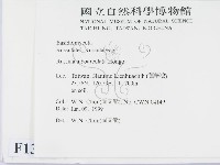 登錄號:F0013080藏品圖，第2張