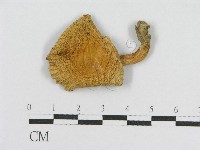 登錄號:F0013080藏品圖，第1張