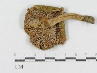登錄號:F0013082藏品圖，第3張