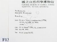 紅菇屬藏品圖，第2張