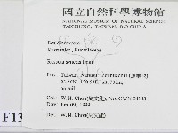 登錄號:F0013084藏品圖，第2張