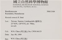 登錄號:F0013084藏品圖，第6張