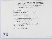 登錄號:F0013086藏品圖，第2張