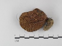 登錄號:F0013088藏品圖，第1張
