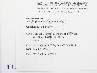 登錄號:F0013089藏品圖，第2張