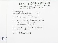 登錄號:F0013091藏品圖，第2張