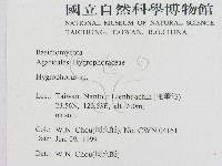 登錄號:F0013092藏品圖，第2張