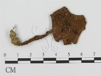 登錄號:F0013093藏品圖，第1張