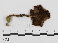 登錄號:F0013093藏品圖，第3張