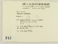 登錄號:F0013094藏品圖，第2張