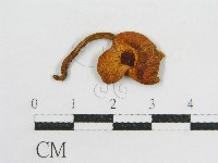 登錄號:F0013095藏品圖，第3張